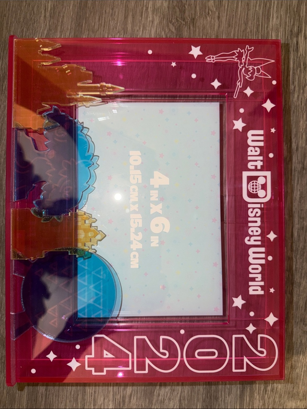 Walt Disney world 2024 pic frame